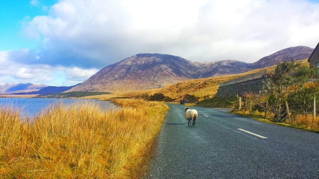 Connemara