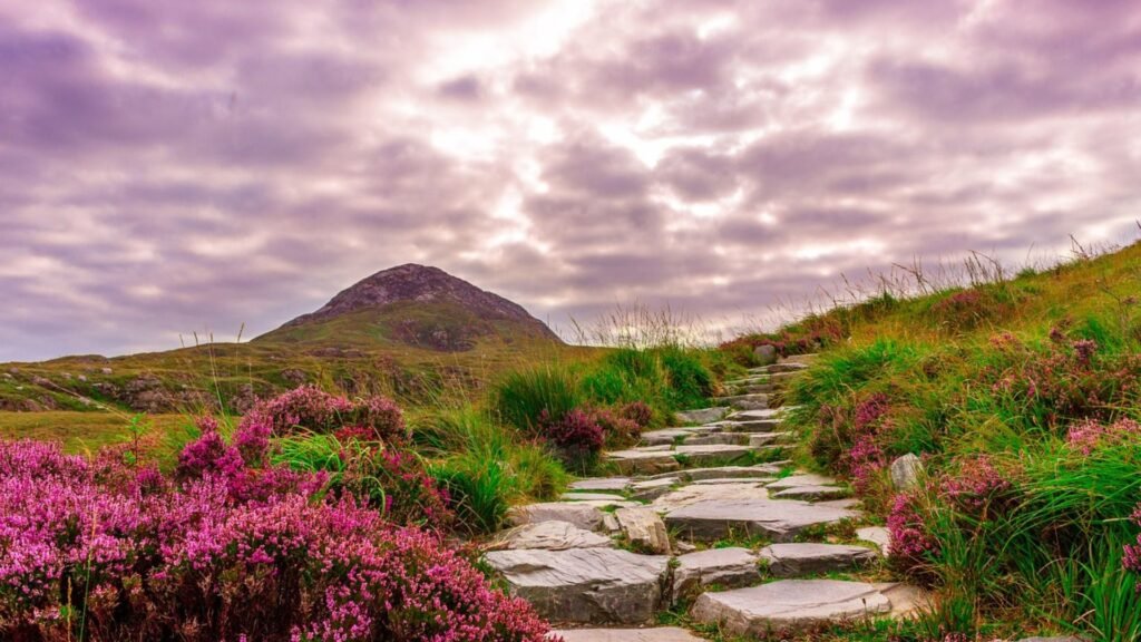 Take a day trip to Connemara National Park