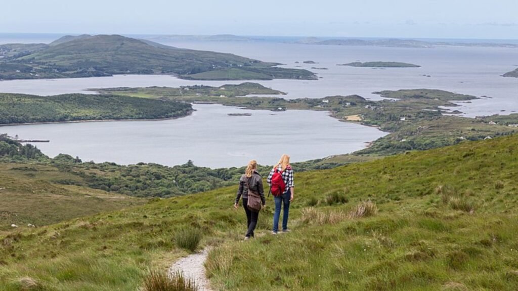 Diamond Hill Loop Walk & Trails