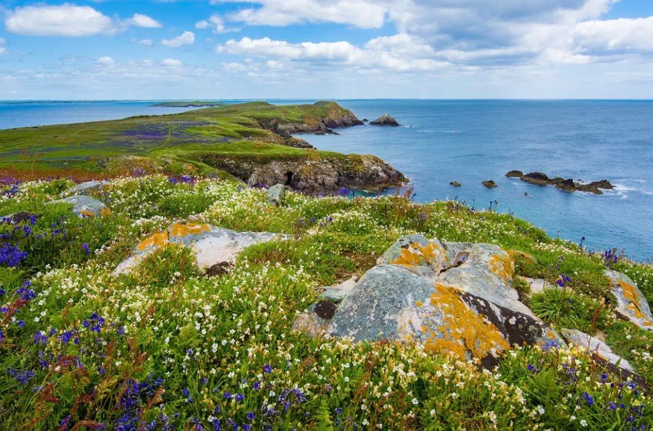 Saltee Islands