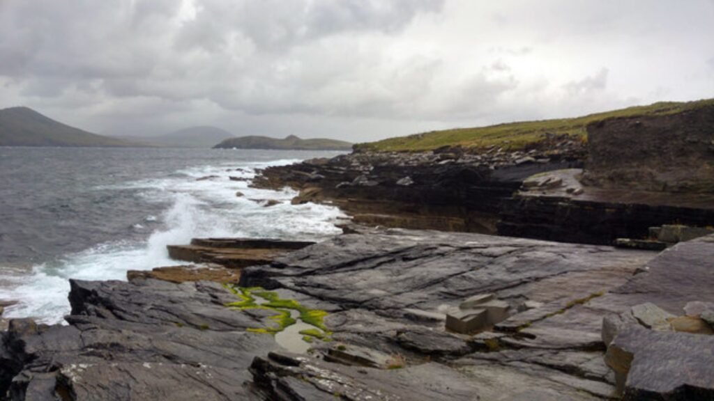 Tetrapod Trackway