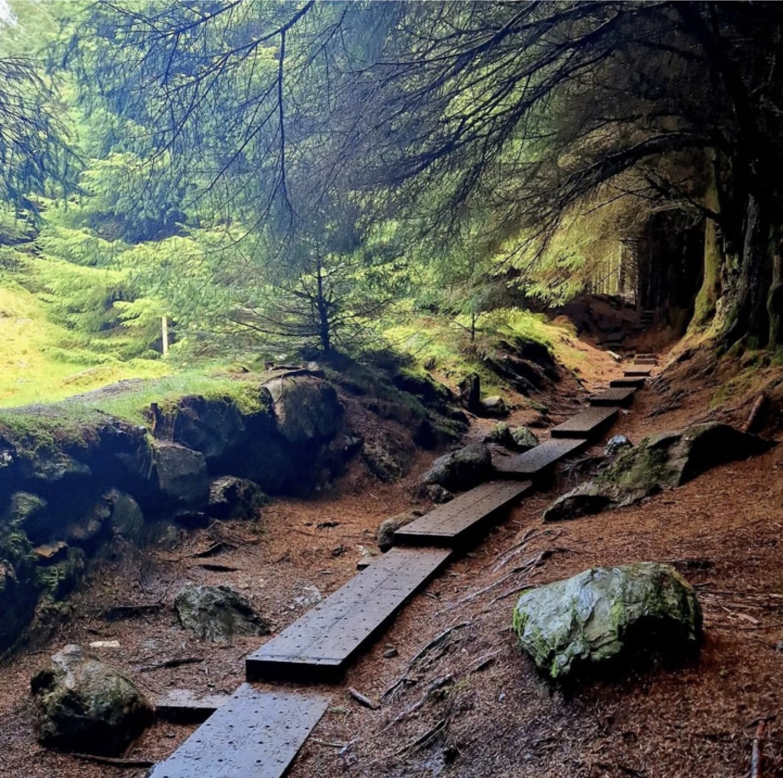 Ballinastoe Woods Walk