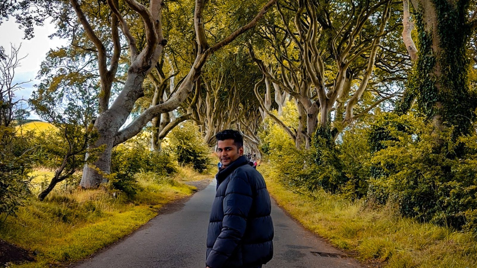 The Dark Hedges