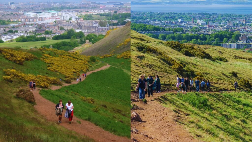 Arthur's Seat Trails