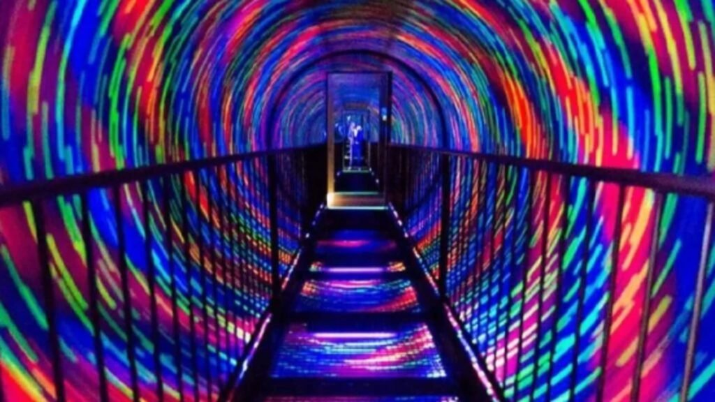 Camera Obscura & World of Illusions