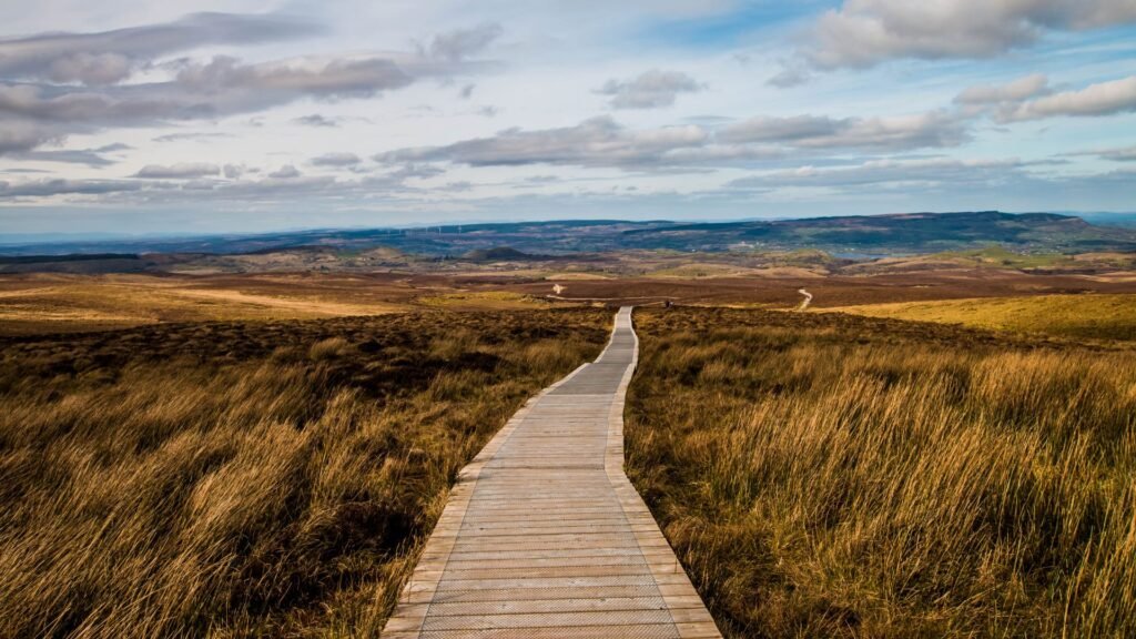 Cuilcagh Boardwalk Belfast