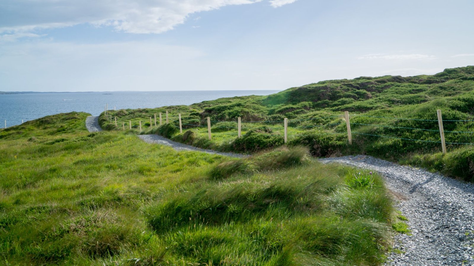 Ardmore Cliff Walk