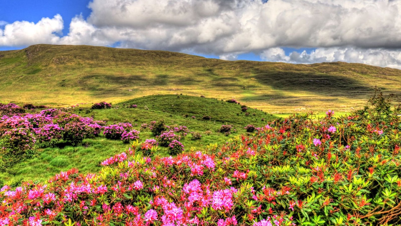 Things To Do In Mayo