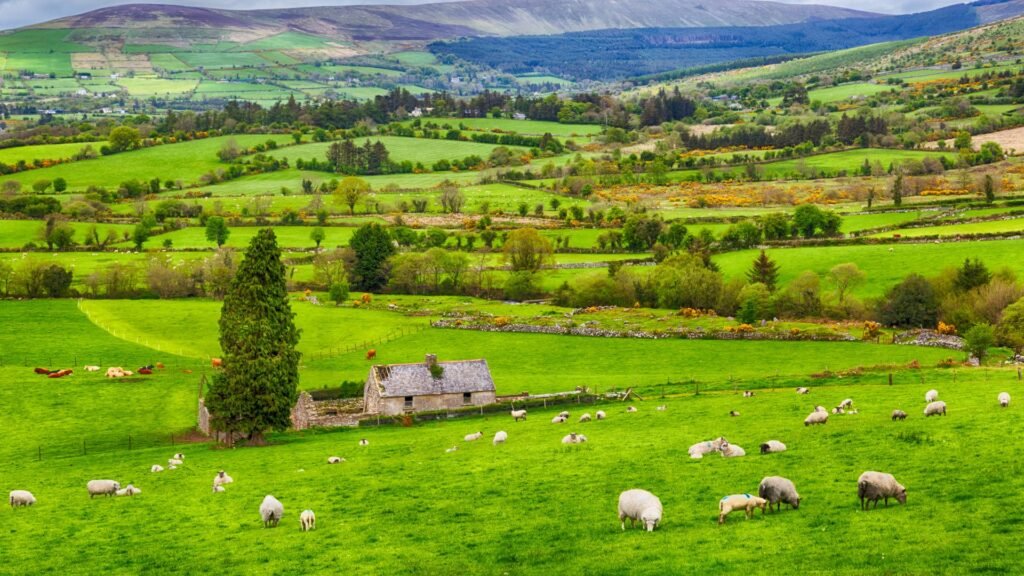 Ireland in July