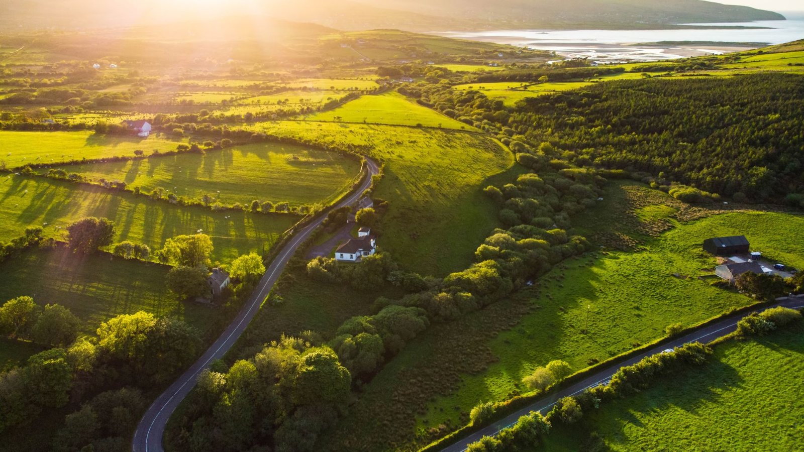 Ireland in June