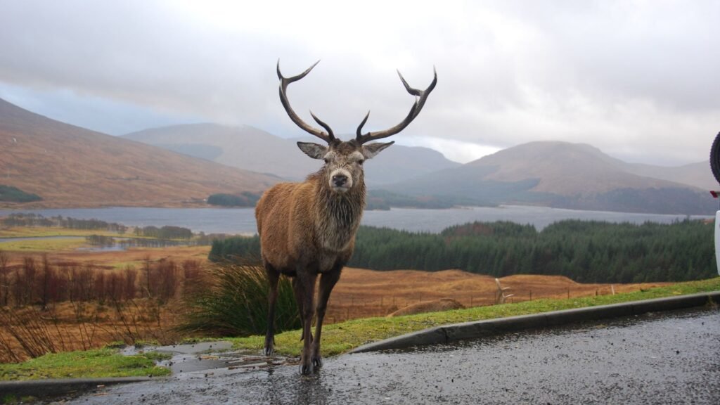 Scotland Highlands
